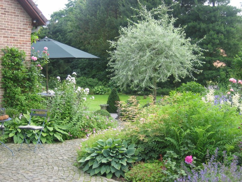 Pastel-colored borders around the terrace
