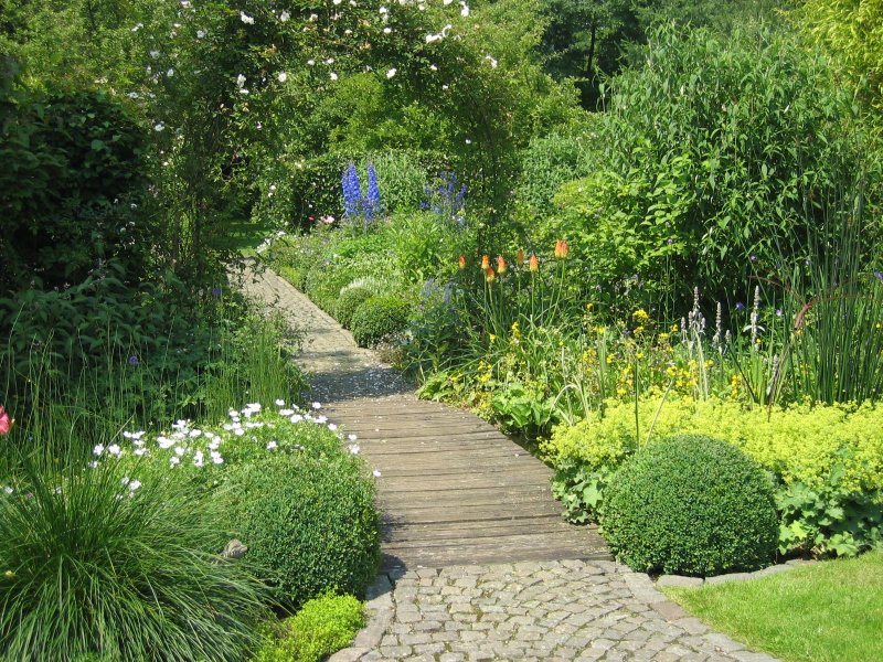 A small bridge across the pond