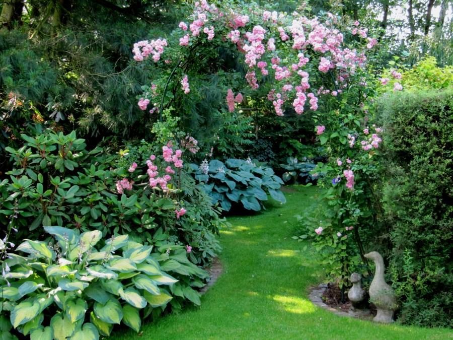 The garden's natural area