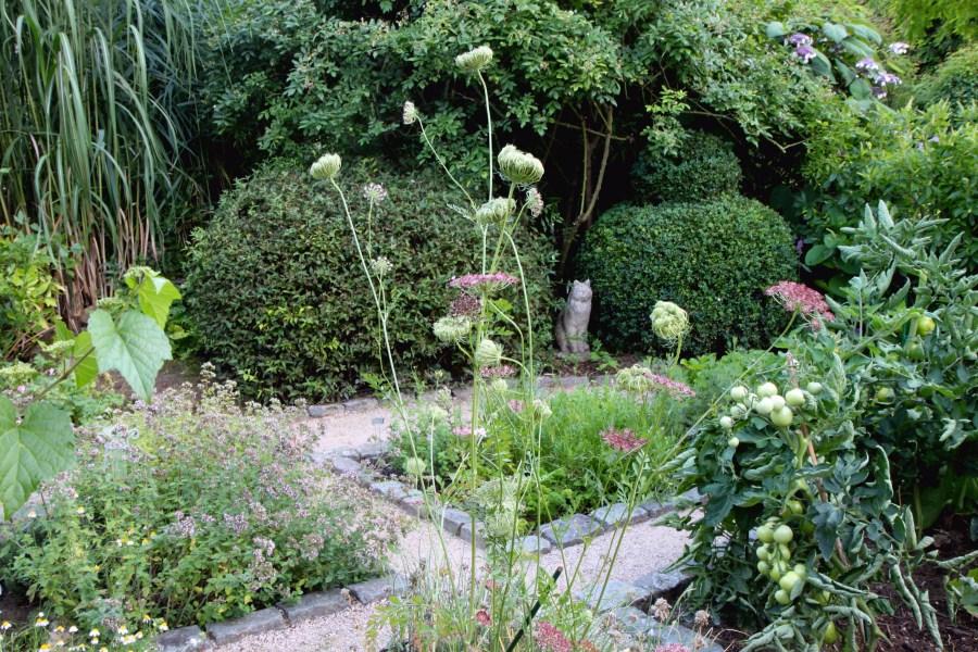 The vegetable and herb garden