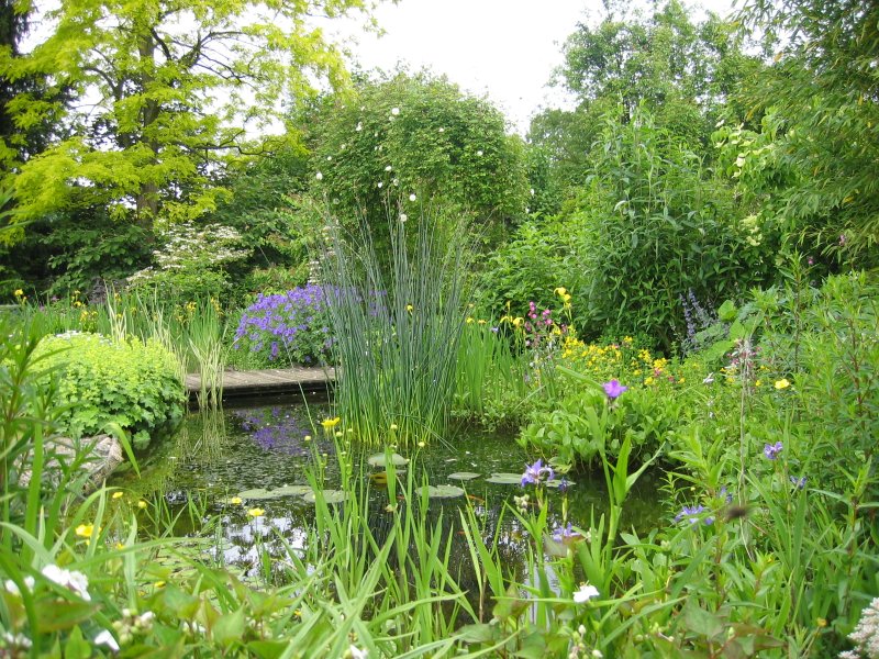 A cozy seating area beside the pond