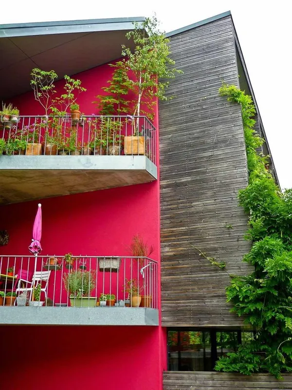 Balcony Gardening
