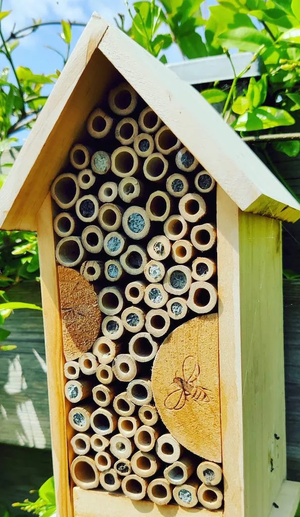 A bee hotel is always a good idea