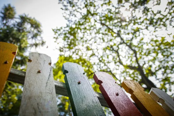 How far from the property line should you plant?