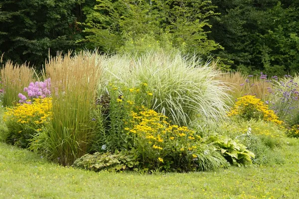 Ornamental Grasses Border