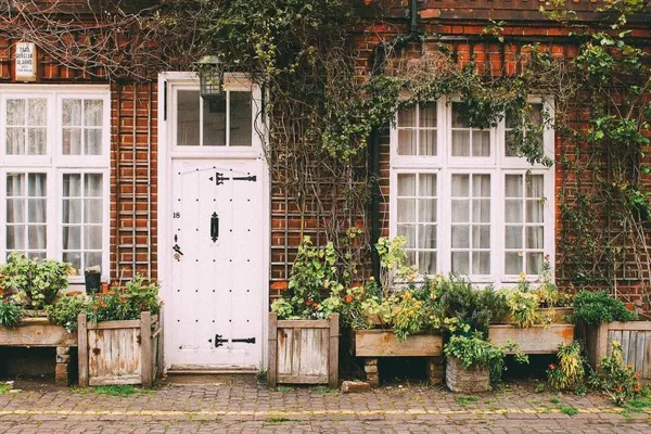Green Facade: How to Create a Facade Garden
