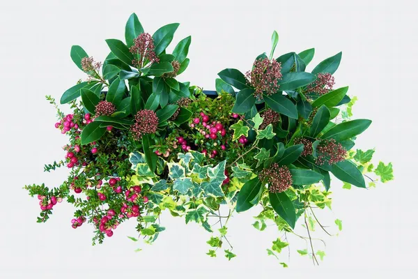 The stylish "Autumn Chic" arrangement from Upperbloom.nl