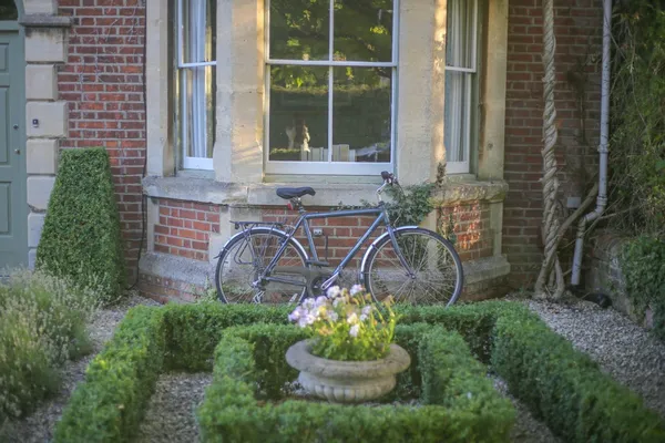 Boxwood in the front yard