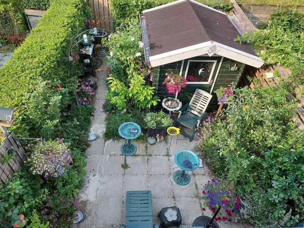 Garden Renovation: From Gray to Green