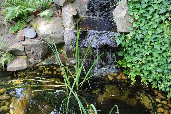 A natural-looking pond