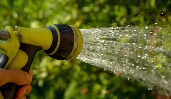 Do you need to water potted plants every day?