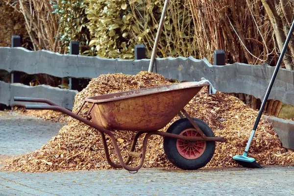 Mulching the garden with organic material