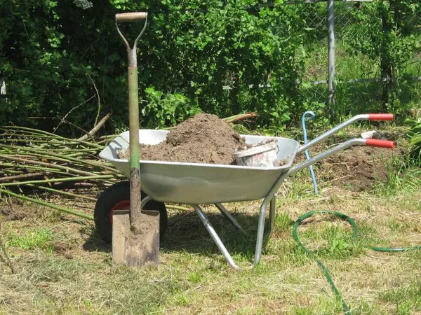 Gardening: Improving the Soil