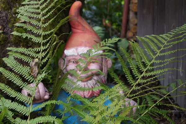 Of course, garden gnomes are a must on any list of crazy garden ideas...