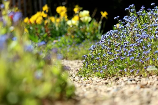 Dealing with Drought