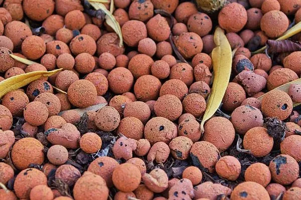 hydro granules or clay granules