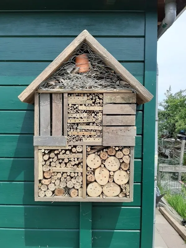 insect hotel
