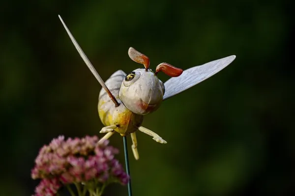 Crazy garden ideas: You're seeing them more and more often—garden statues of insects, bees, butterflies, and birds
