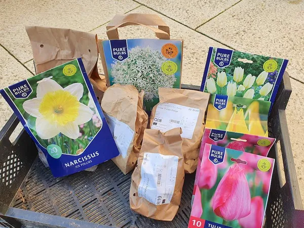 Plant the last flower bulbs