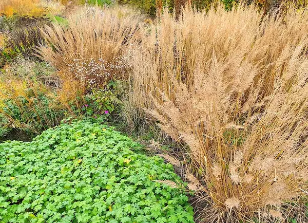 Tips for a Better Planting Plan—Take Advantage of the Seasons!