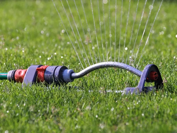 Lawn Care in Summer
