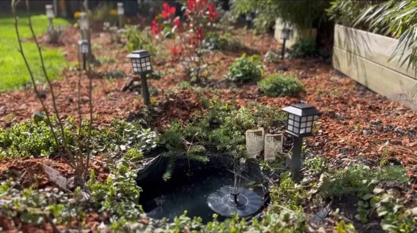 Inspiration for a Charming Mini Pond