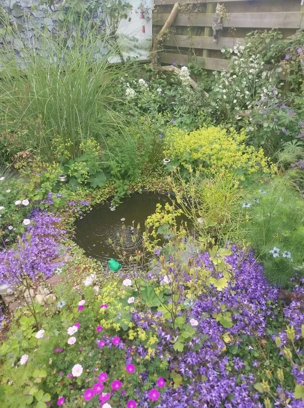 Mini-pond inspiration: plants right up to the water's surface