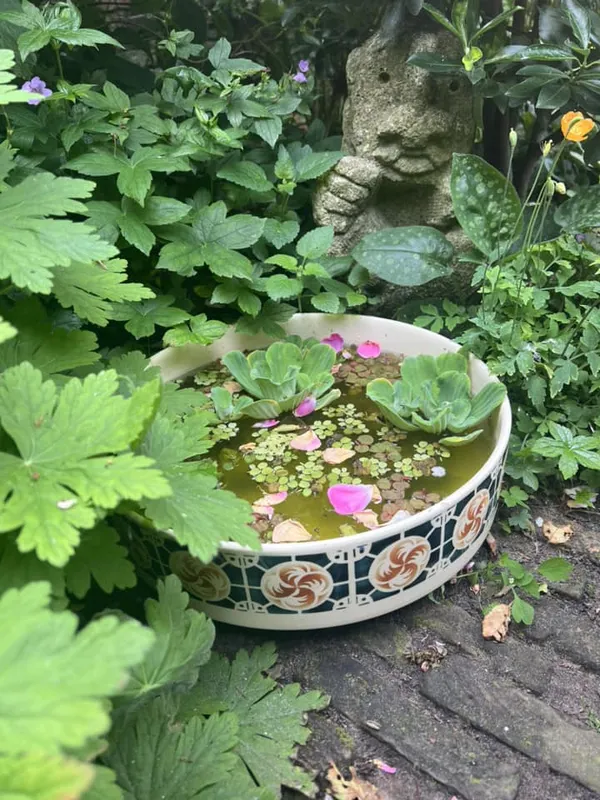 Mini Pond Inspiration: Ceramics