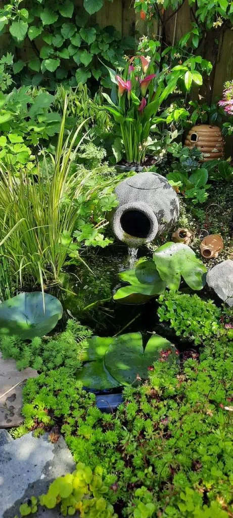 Mini-pond ideas: a stream flowing from a pot 