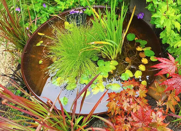Mini Pond Inspiration: Corten Steel
