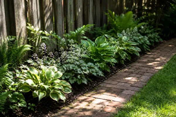 Narrow border in the shade in front of a fence