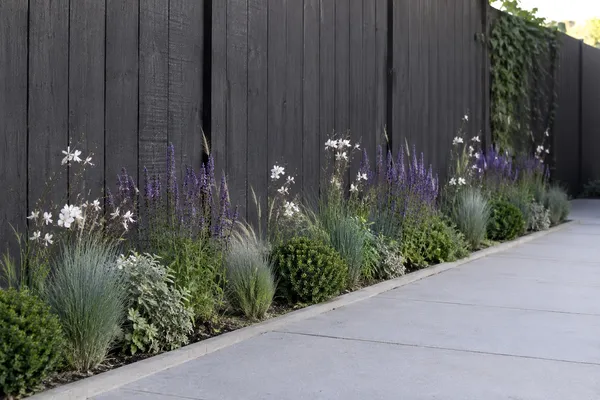 Narrow flower bed in the sun in front of a fence