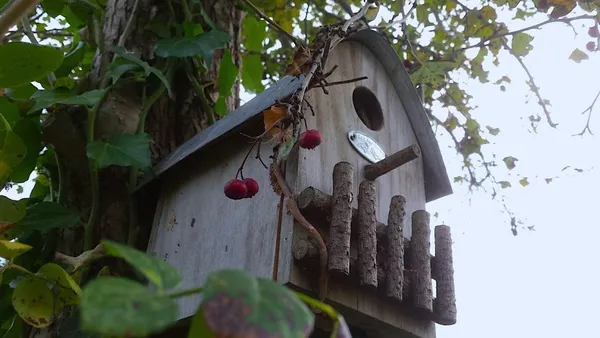 animal-friendly garden decorations