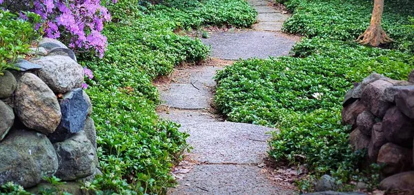 winding path in the front yard