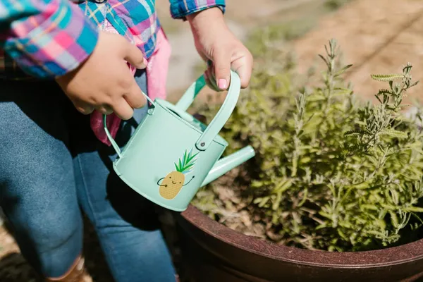 watering can for potted plants
