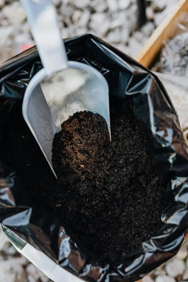 Potting Soil