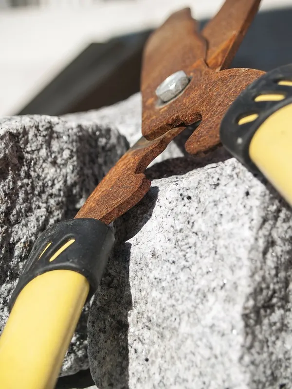 What should you use for pruning, and what shouldn't you use?