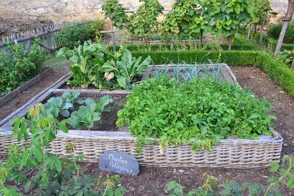 Filling soil for raised borders and vegetable garden beds