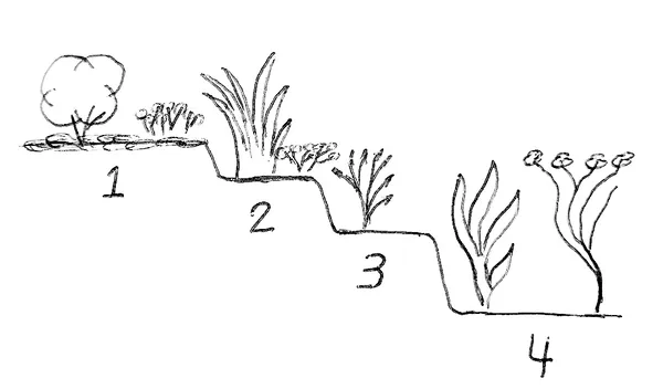The different pond zones (depths) for your pond plants