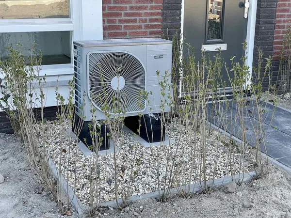 Eventually, this hedge will hide the heat pump