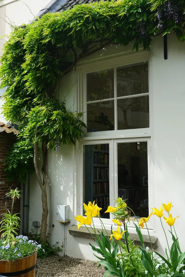 Wisteria is a vigorous grower
