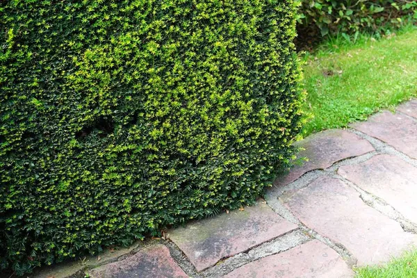 secondary path made of masonry stones